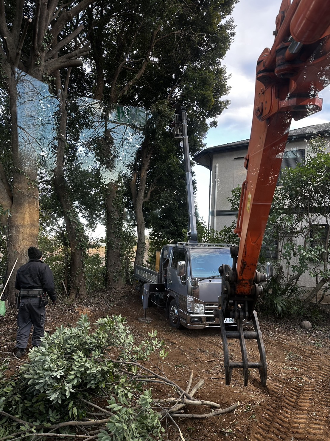 鎌ケ谷市で行った庭木伐採の施工写真