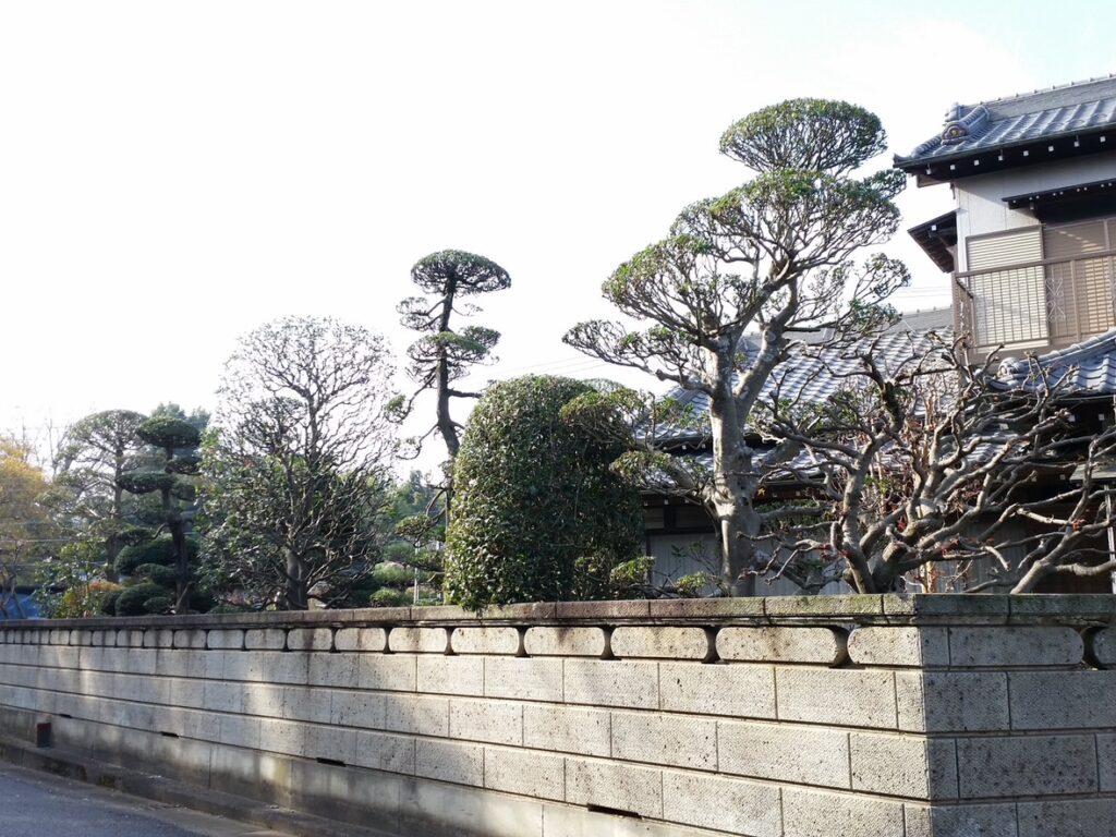 松の剪定を行った前庭の施工例